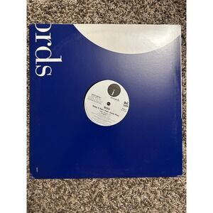 Boo Make It Rain feat Jazze Pha 12" Vinyl Single J Records Promo 82876-88259-1